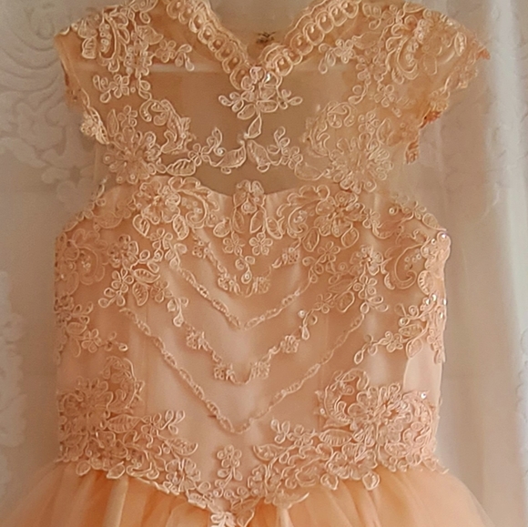 Flowergirl Dress - Picture 2 of 9